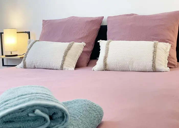 Le - 6 Voyageurs En Hyper Centre-ville Avec Wifi Reims